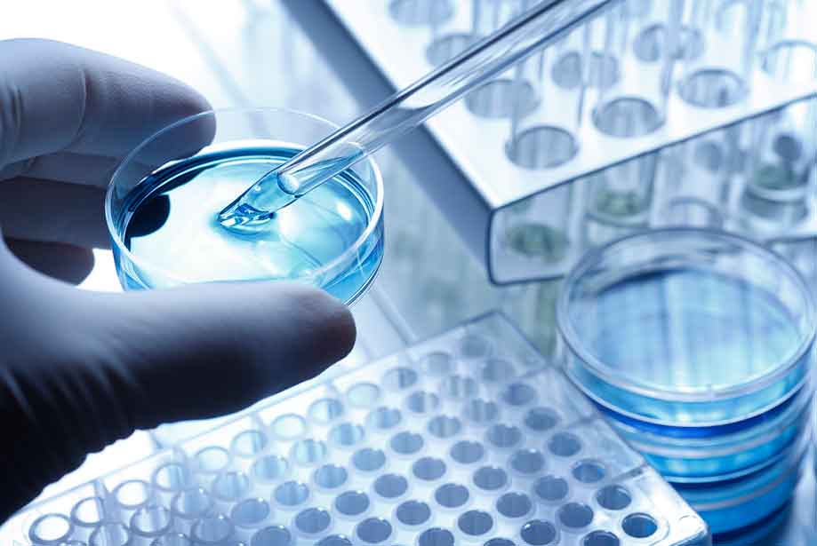 drug-development